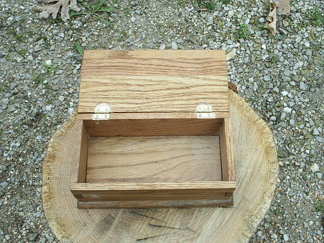 Open view of the cichlid fish accent box