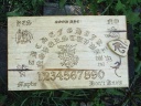 Ancient Dragon Realm Spirit Board