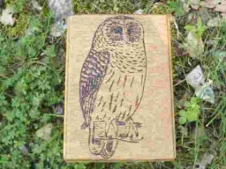 Athena Owl Wisdom Tarot Box