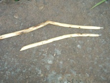 Image of the sacred withces magic wand made from willow