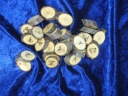 Willow Elder Futhark Runes