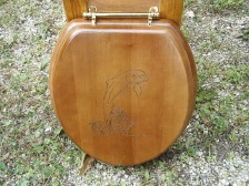 Designer Toilet Seats