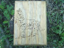 Lone Wolf Tarot Box