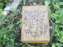 Welsh Royal Dragon Tarot Box