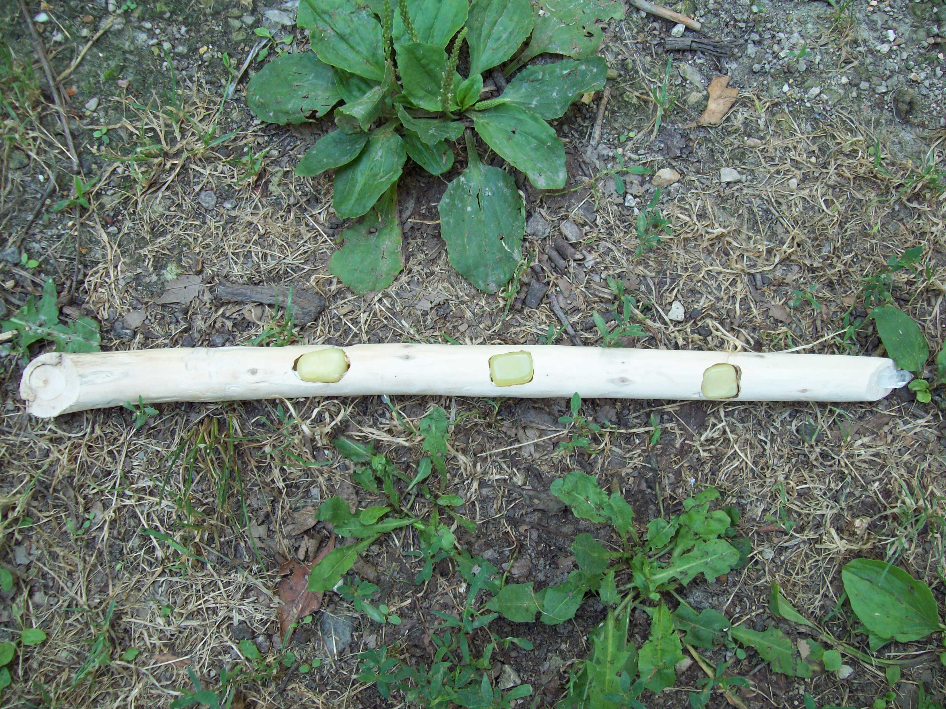 Willow and Peridot Witches Wand