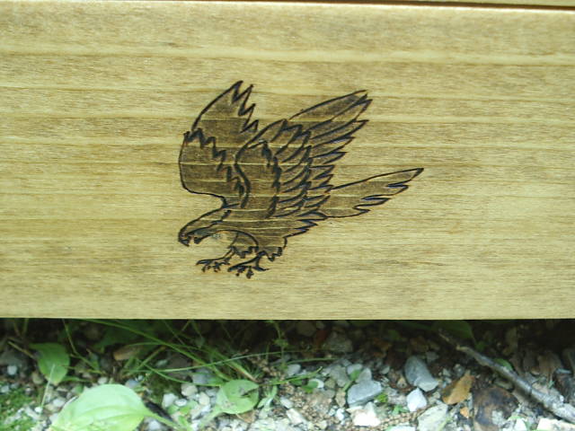 Eagle in flight