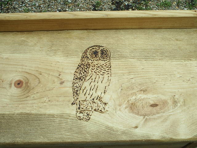 The Owl and Wolf