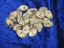 Sycamore Elder Futhark Runes